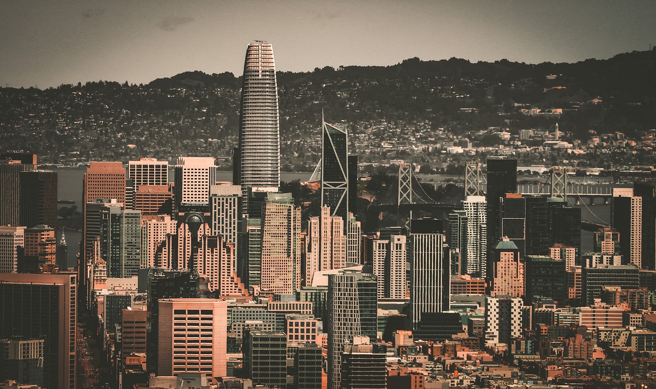 不仅展现了 不仅展现了