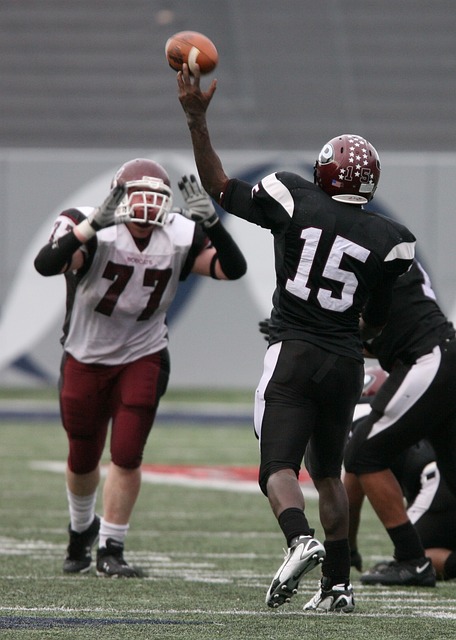 力的体现 力的体现