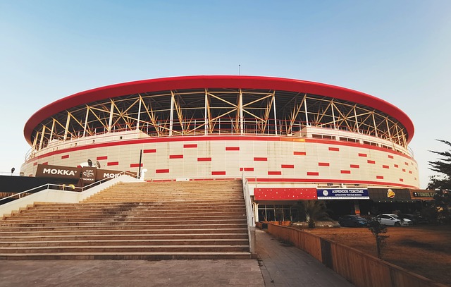 球的发展需 球的发展需