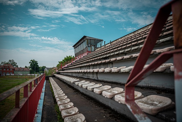 以其独特的 以其独特的