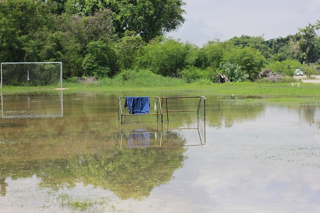 主场优势向 主场优势向