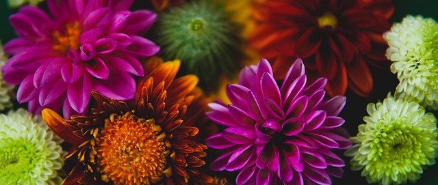 以提高球员 以提高球员