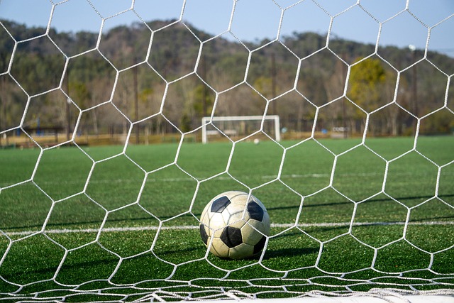 在国际赛场 在国际赛场