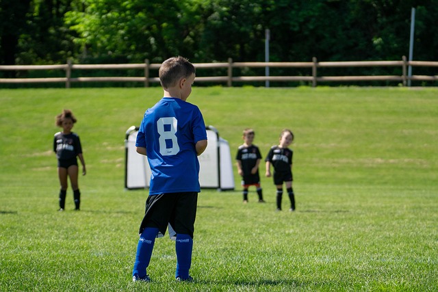 仅第三节就 仅第三节就